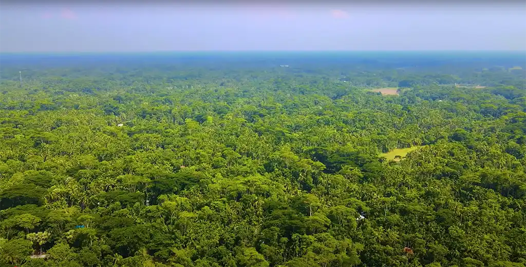 Khu dự trữ sinh quyển